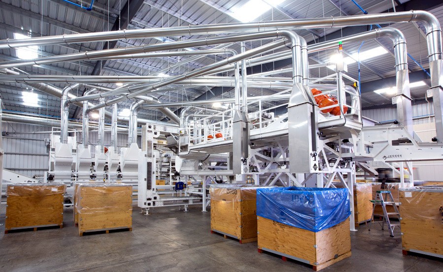 Illustration of the T Masasi cashew processing hall with sorting and packing lines